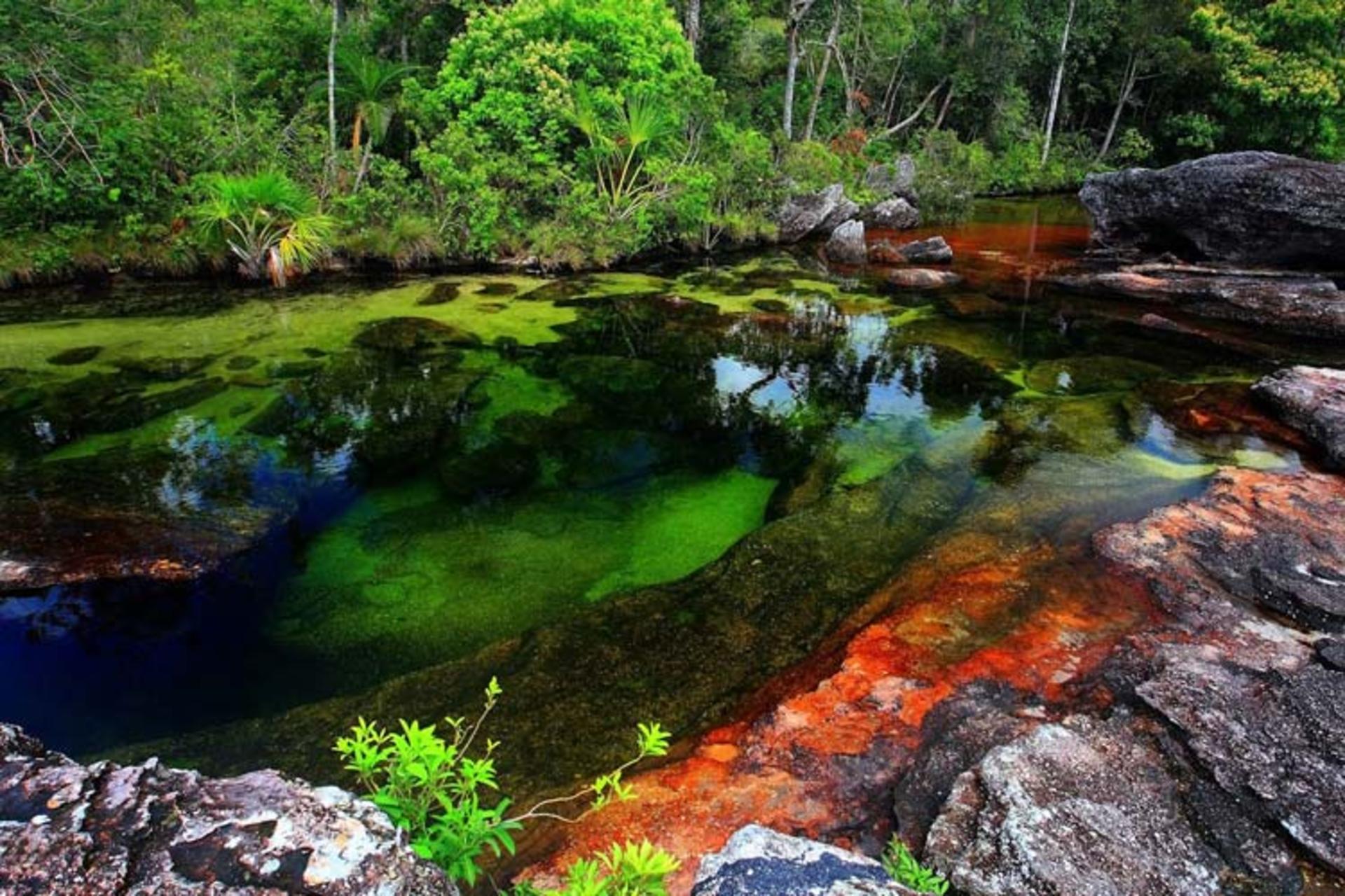 2015-12-caño-cristales2