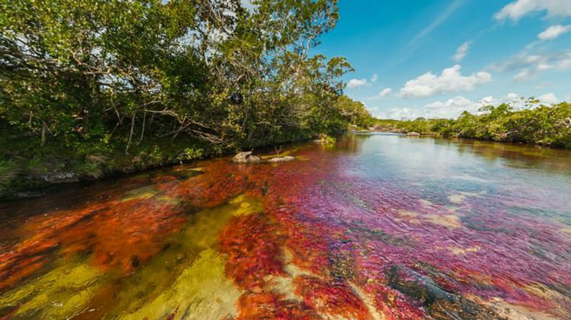 2015-12-caño-cristales4