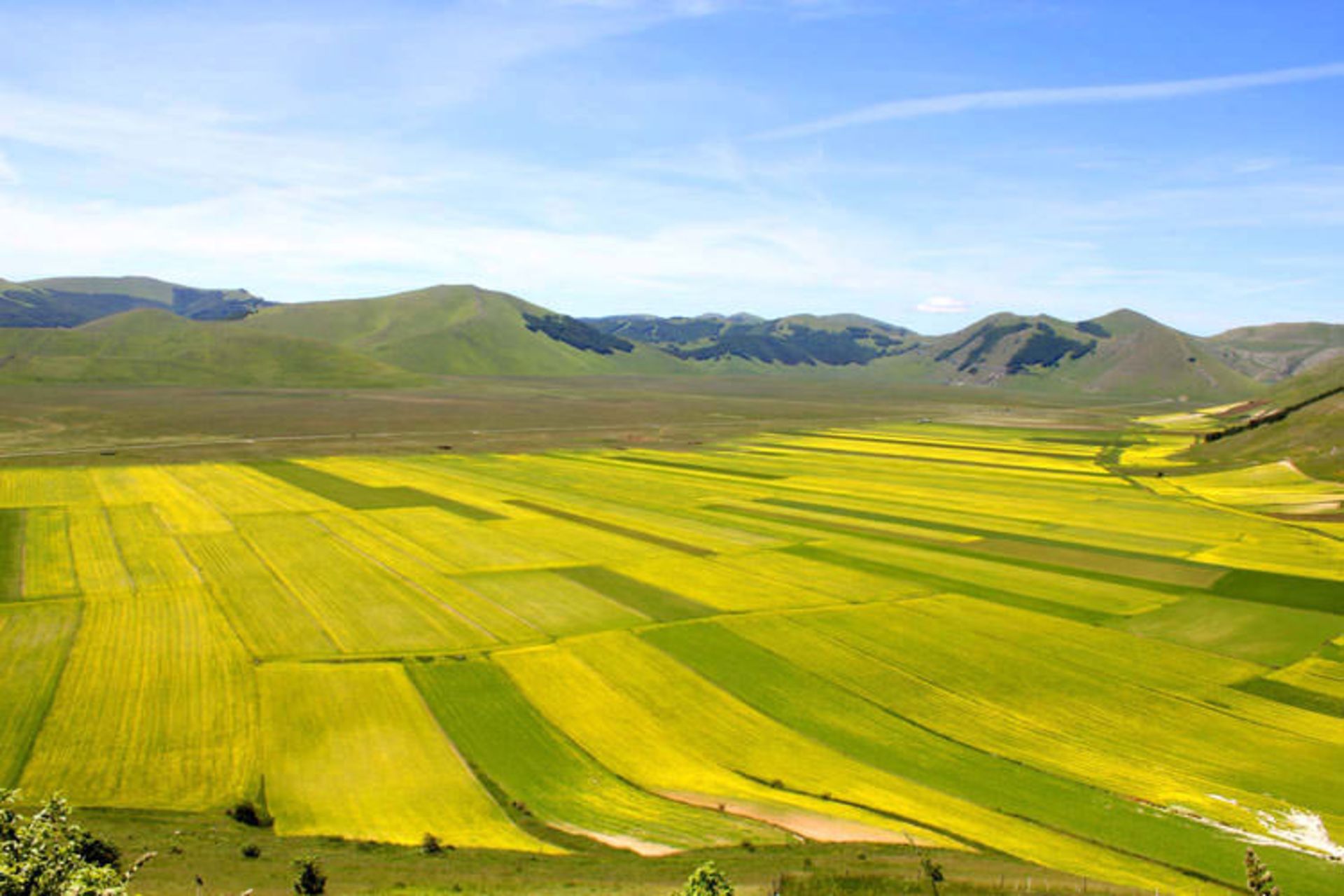 2015-12-ce6d5989-d6d4-4025-ba2c-ac6ffe169229-castelluccio3