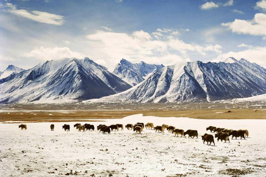 2015-12-chaqmaqtin-lake2