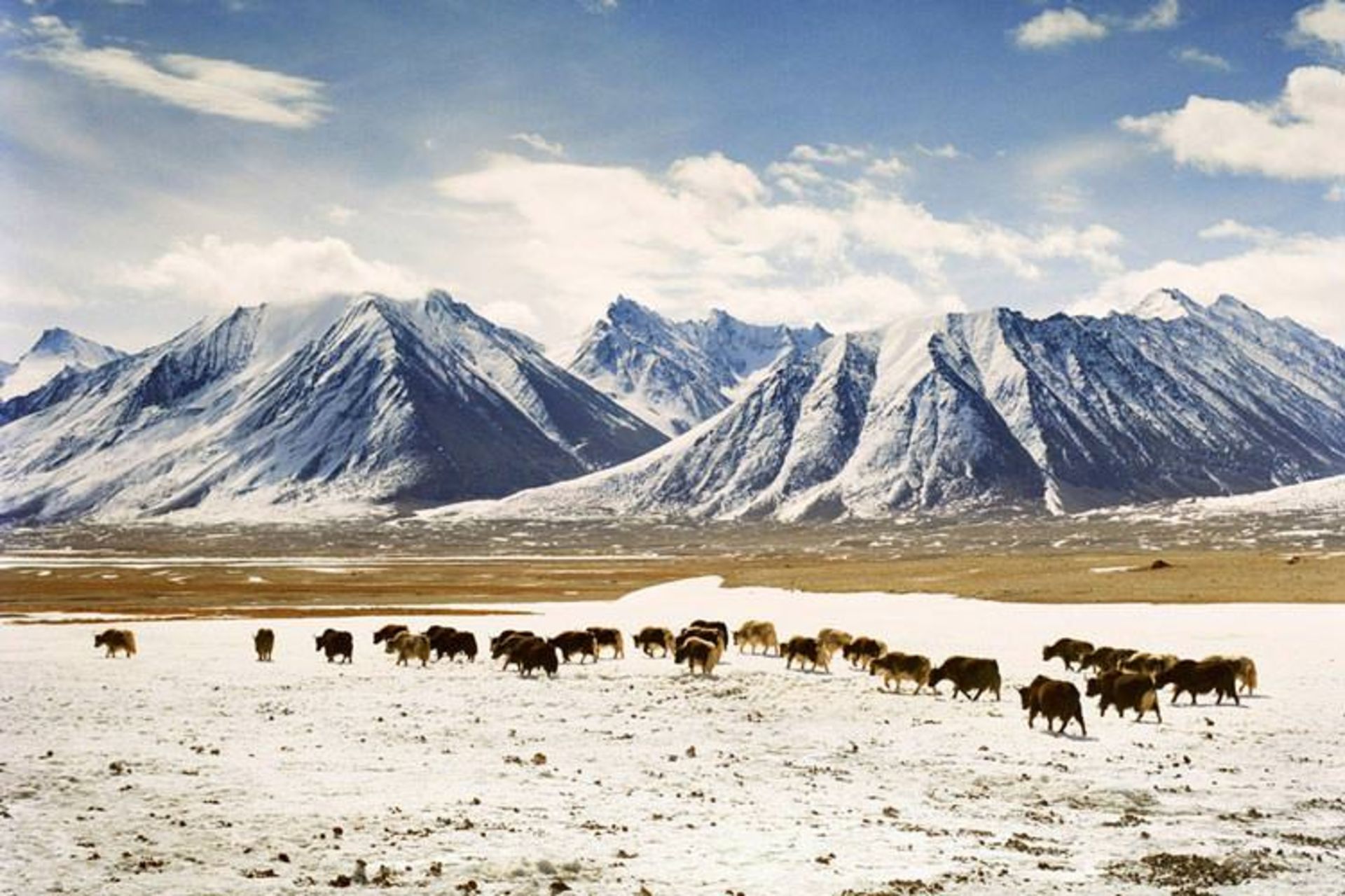 2015-12-chaqmaqtin-lake2