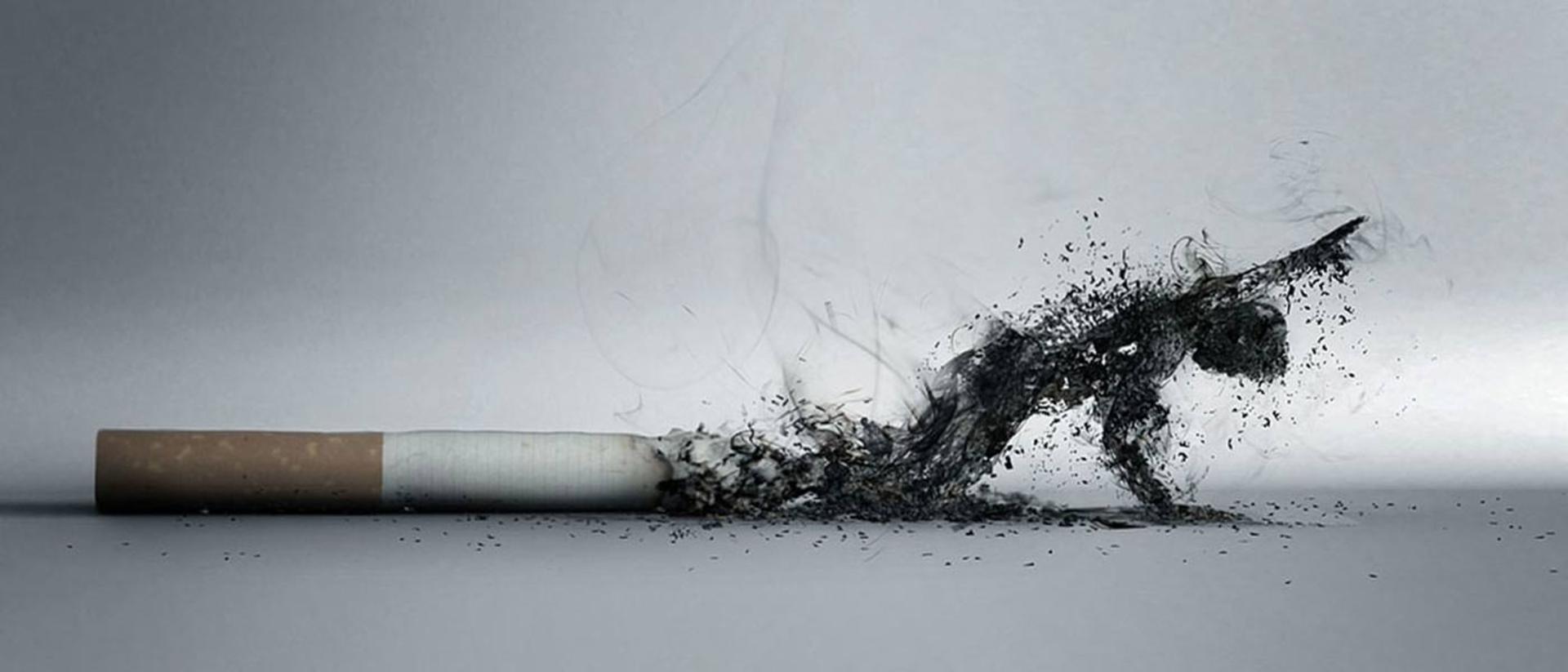 2015-12-cigarette-smoke444