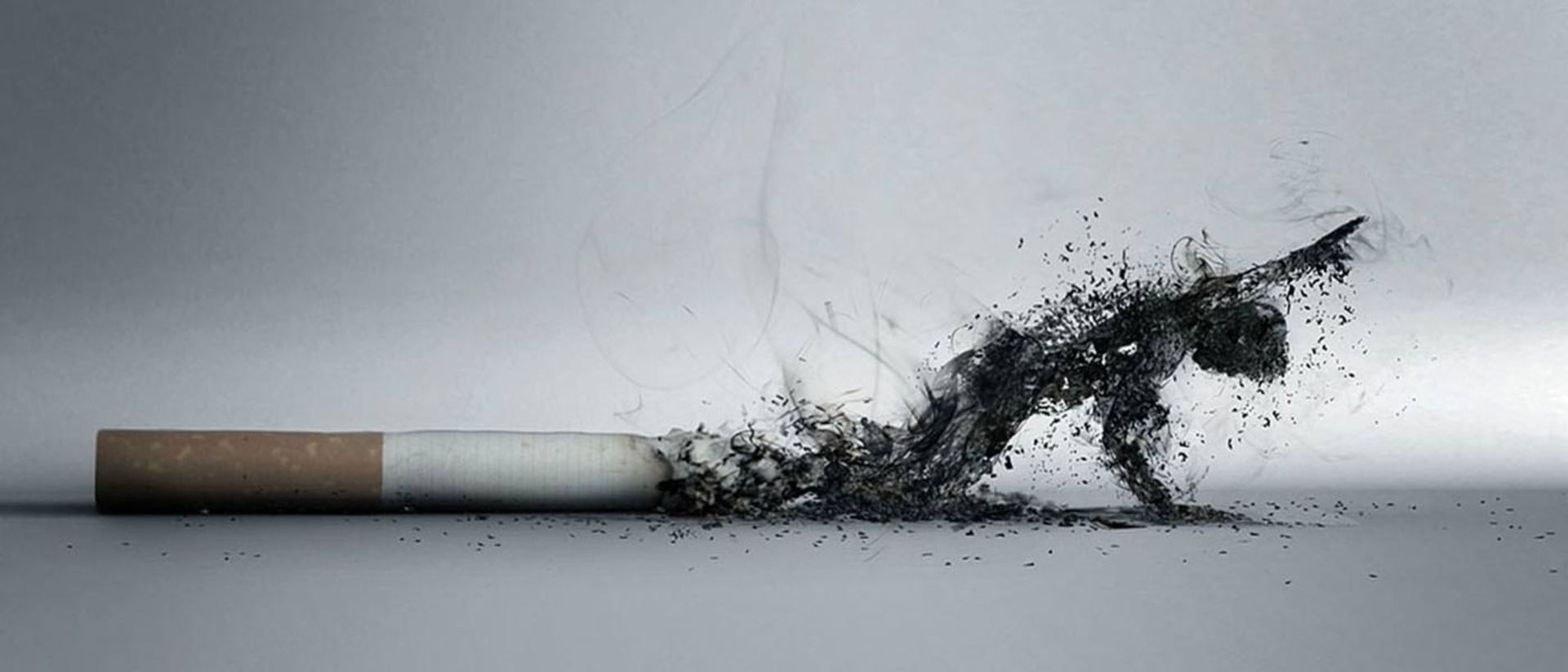 2015-12-cigarette-smoke444
