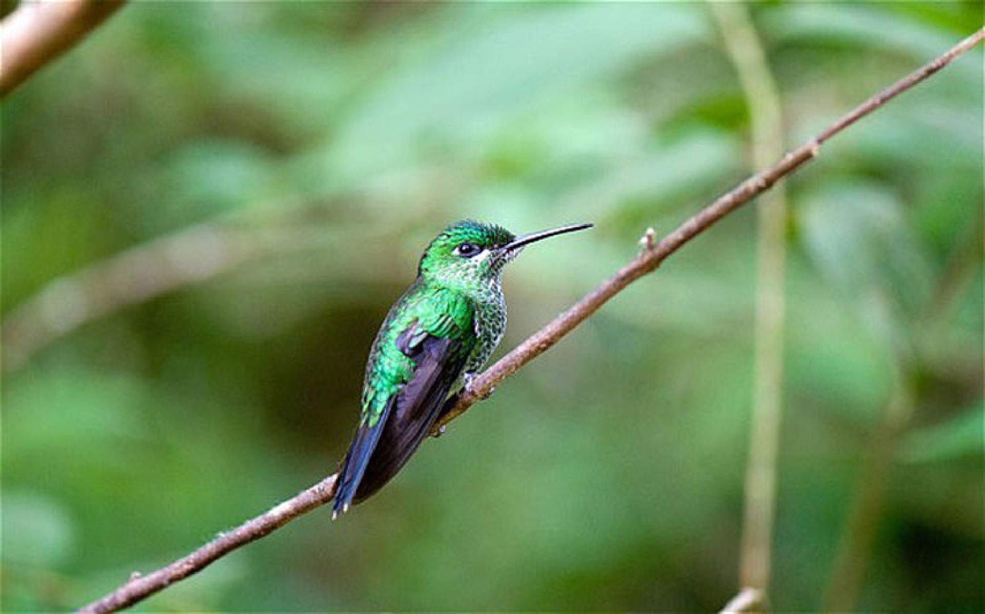 2015-12-costarica-cloudfor