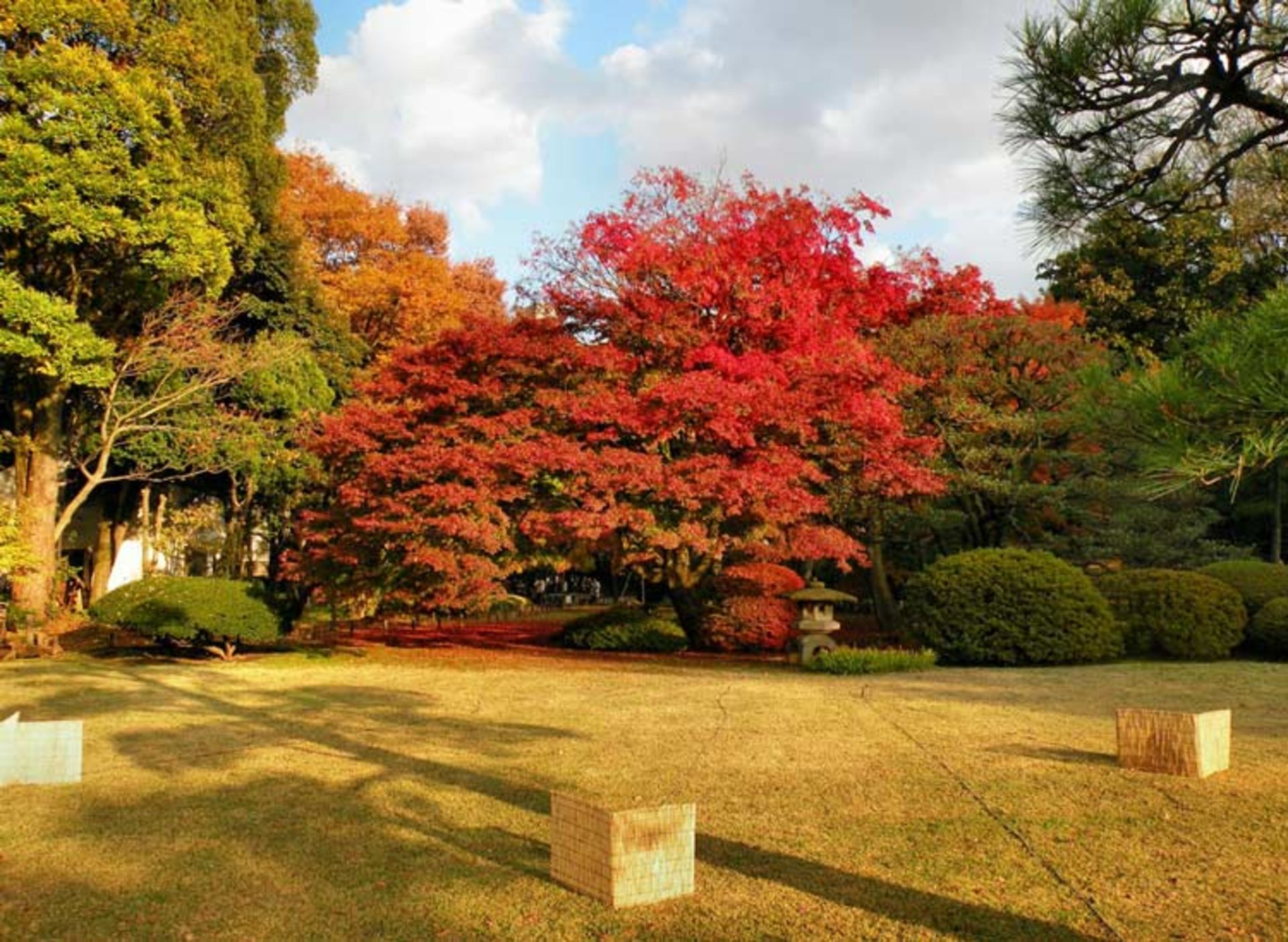 2015-12-d0849bf0-5123-464e-ada4-d13cc9822a35-rikugien--garden-tokyo-japan-5