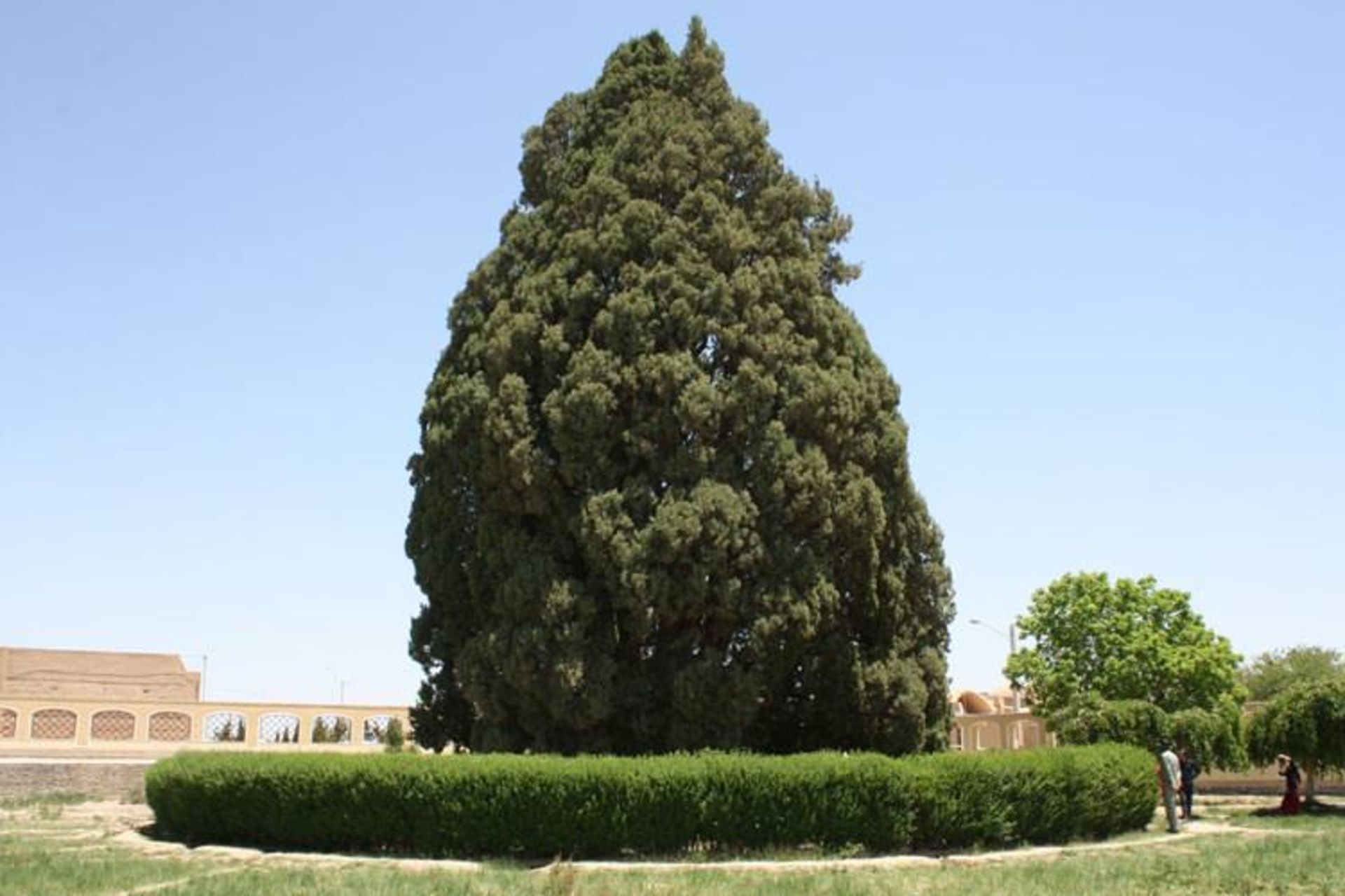 2015-12-d2ffd9ab-b2aa-4757-9e72-81fc85fc66d6-sarv-e-abarkouh