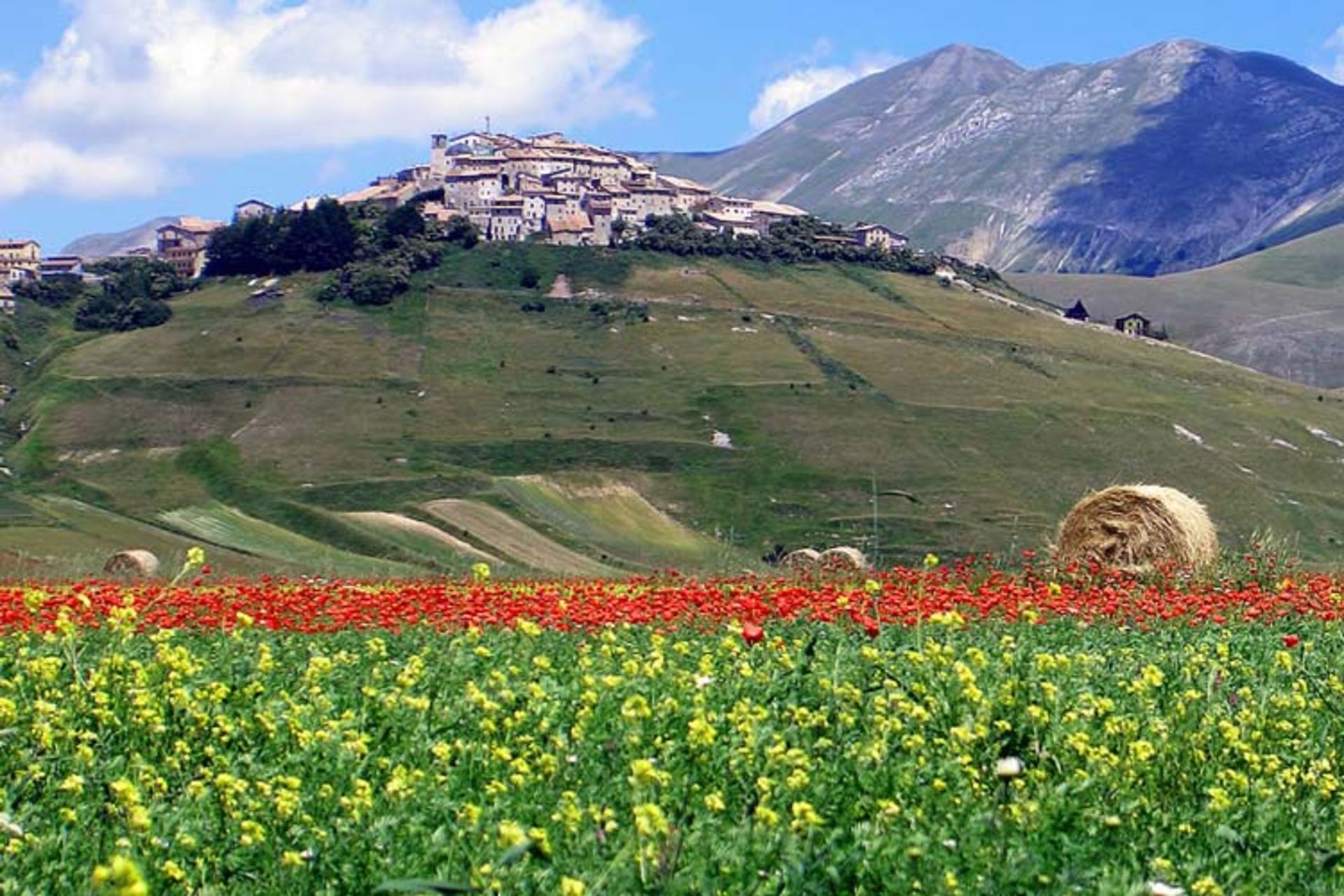 2015-12-e5845a4a-2304-4b51-8094-28d7de81bd7c-castelluccio1
