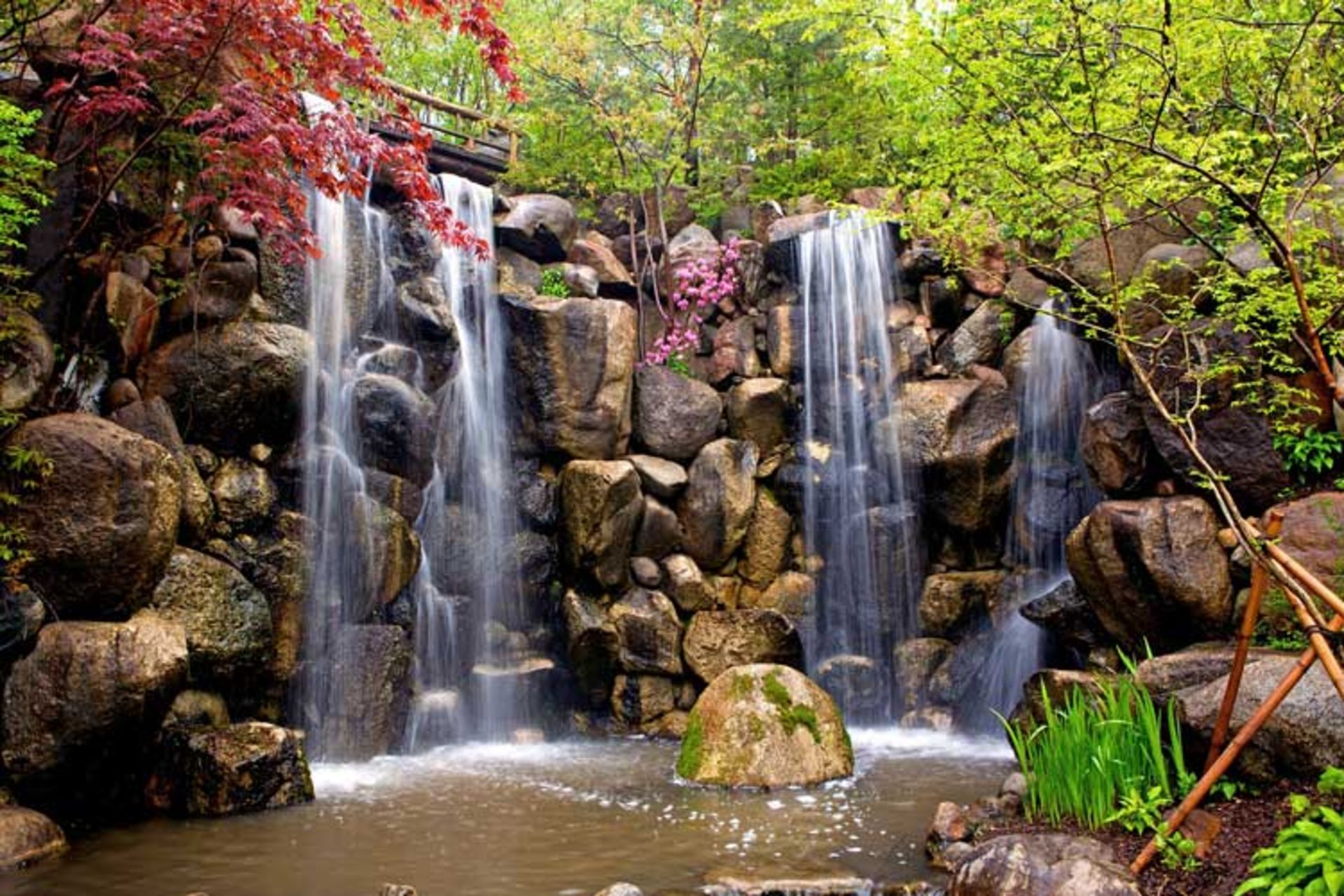 2015-12-e69b24e3-43fb-4c3b-b884-314f4770da96-anderson--japanese--gardens--rockford--illinois-usa-4