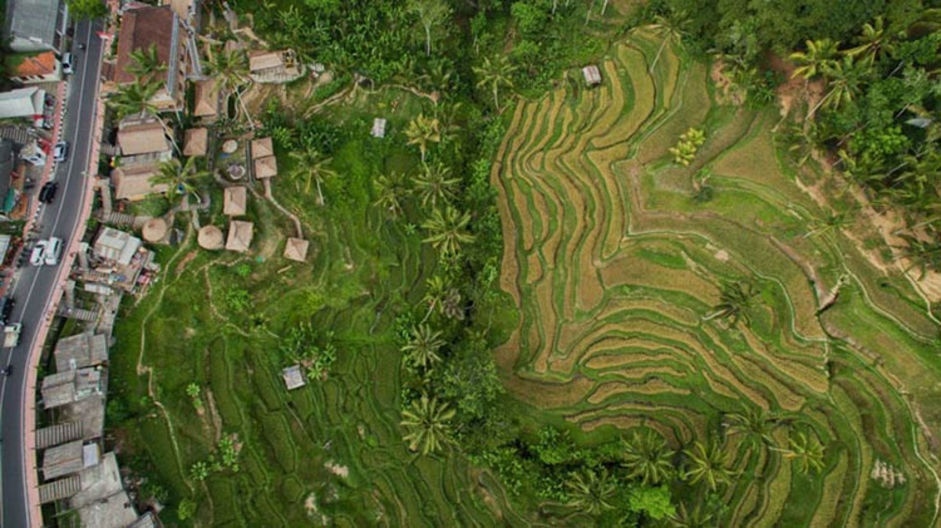 2015-12-e76cbe7f-5e4a-4f29-adf4-f7c7626536fe-best-drone-photos-2015-dronestagram-eric-dupin-53__880