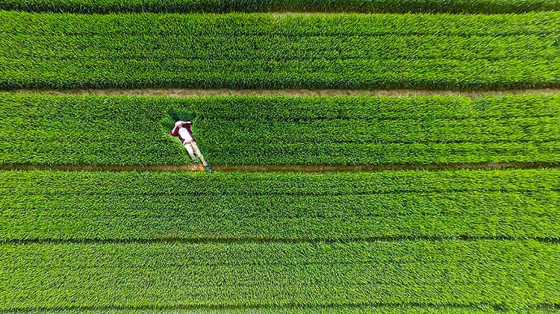 2015-12-f13342aa-74f4-428b-ab00-54f1d0233eb1-best-drone-photos-2015-dronestagram-eric-dupin-49__880