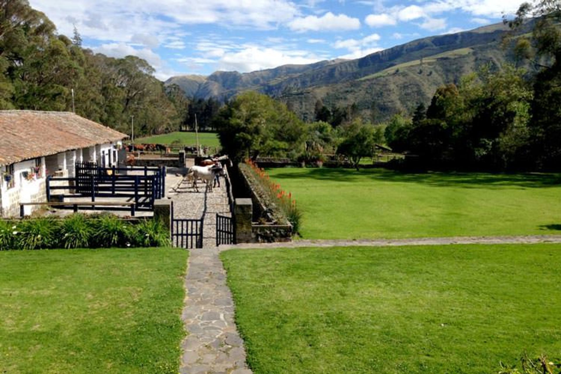 2015-12-f559af7e-f0d3-4f3d-943d-efce015f83f1-hacienda-zuleta4