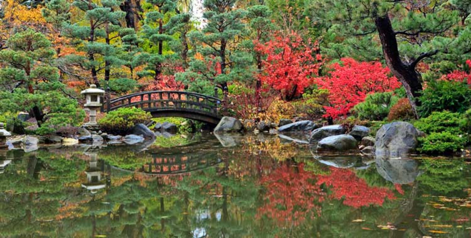 2015-12-fcd7f7fb-bfea-48a7-a7cd-27cc2f8444d9-anderson--japanese--gardens--rockford--illinois-usa-1
