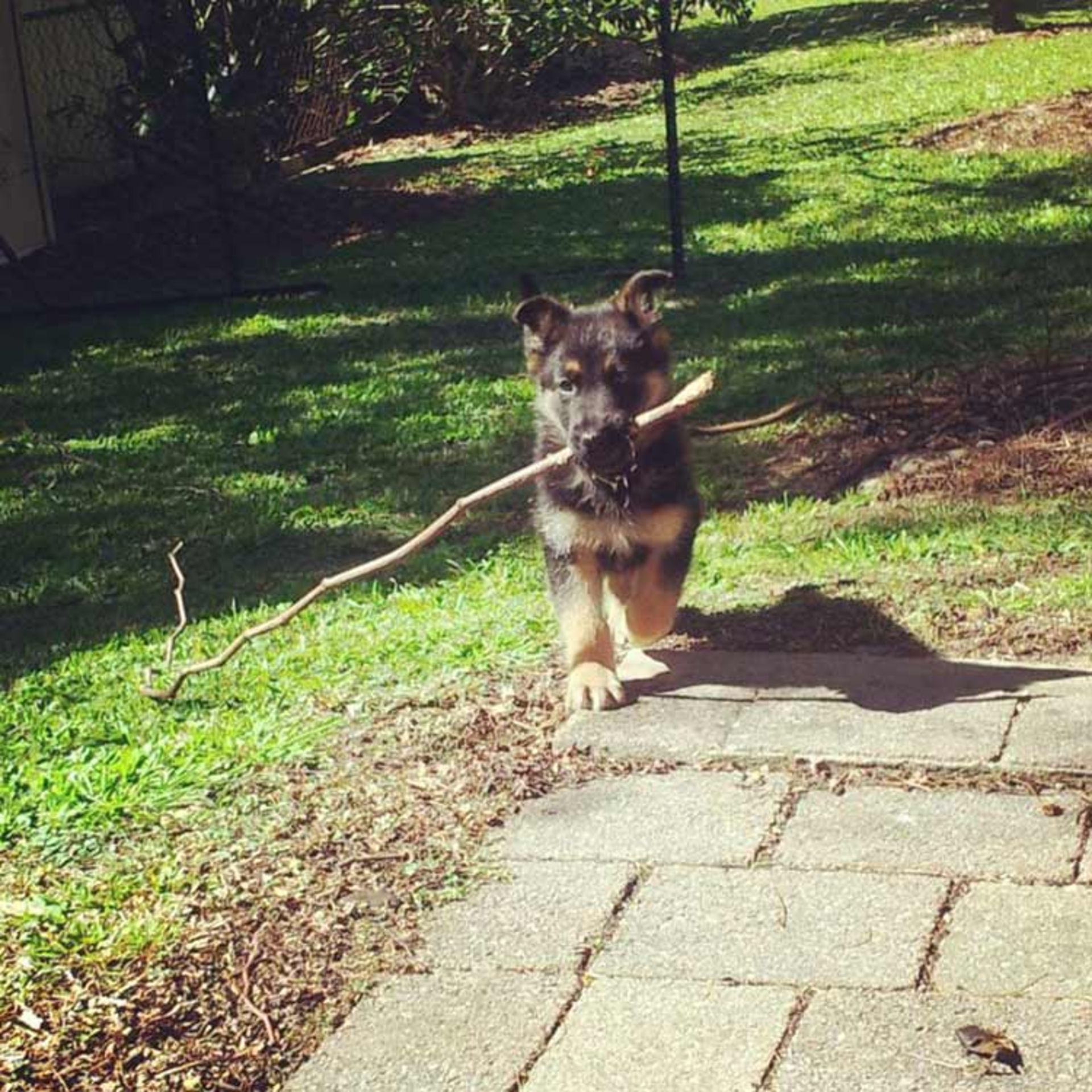 2015-12-finding-stick