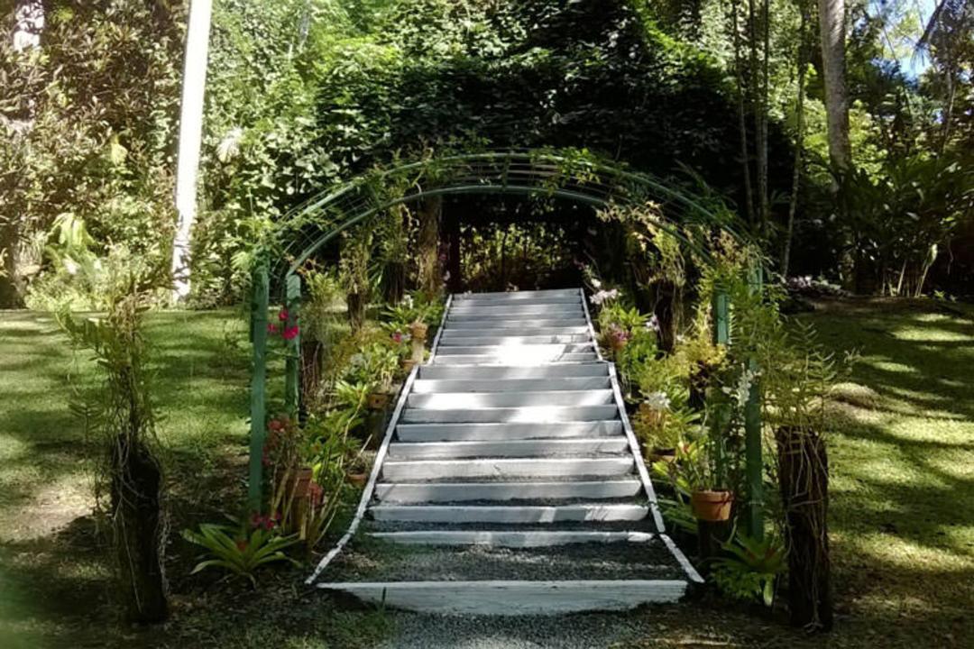 2015-12-garden-of-the-sleeping-giant-fiji