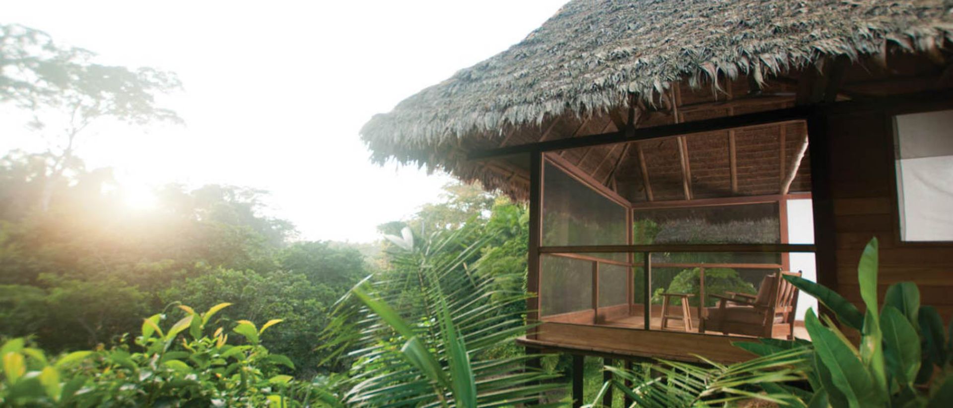 2015-12-honeymoon-treehouses