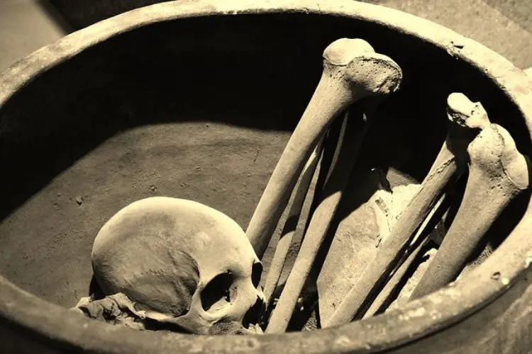 2015-12-human-bones