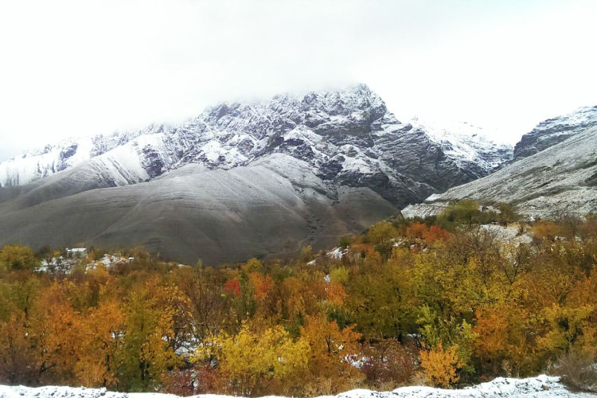 روستای خور