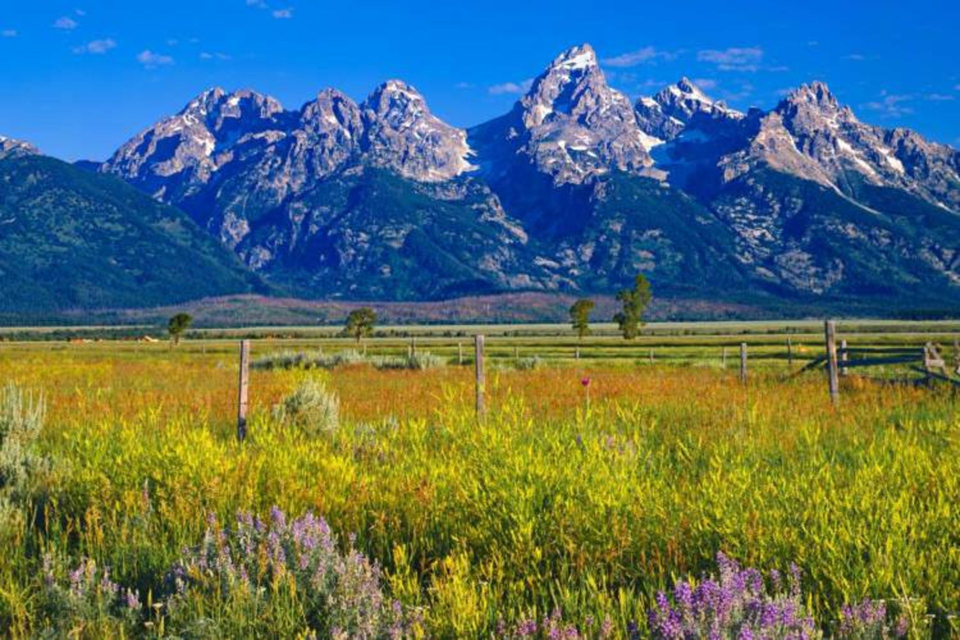جکسون، وایومینگ (Wyoming)