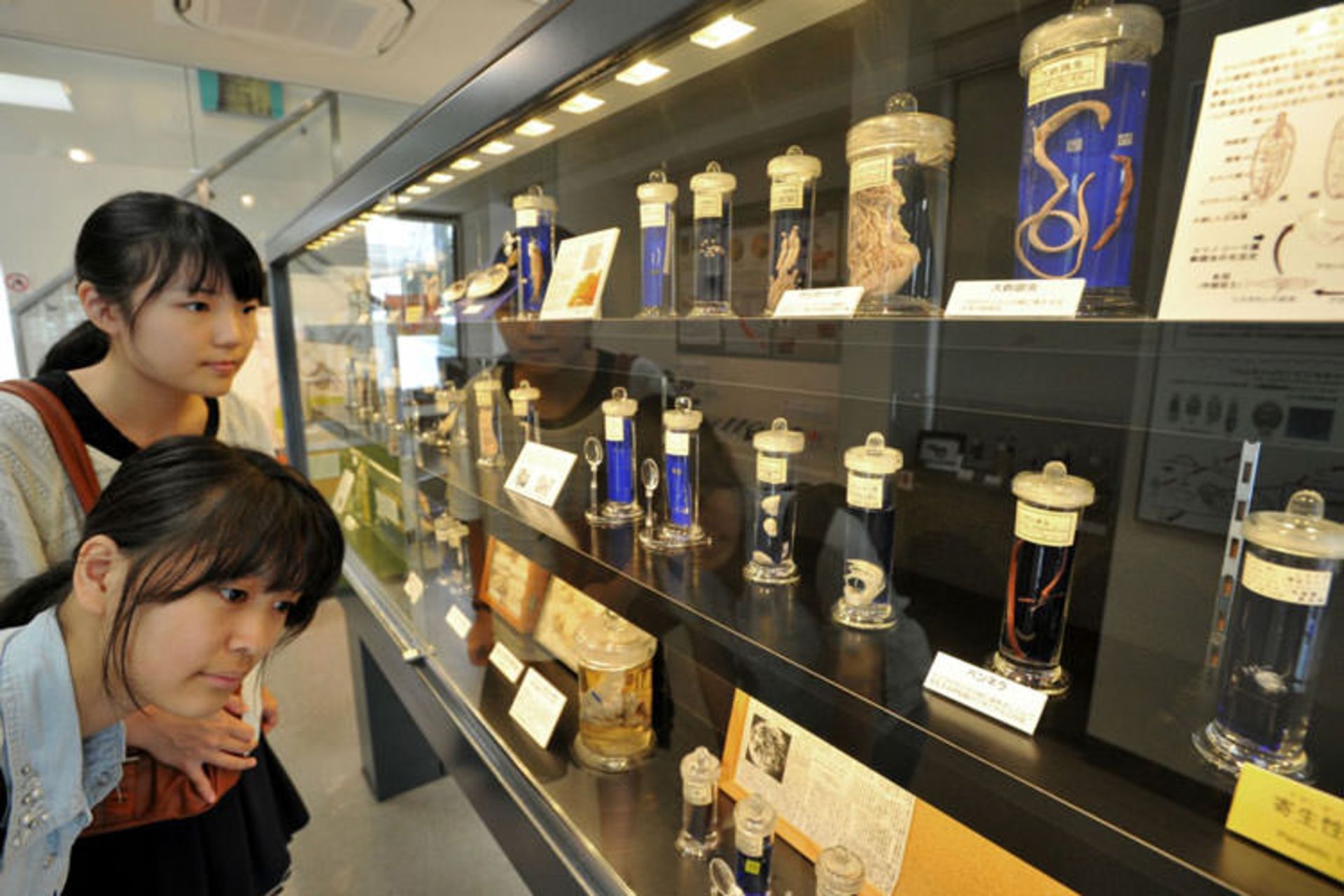 2015-12-japantimes.co_