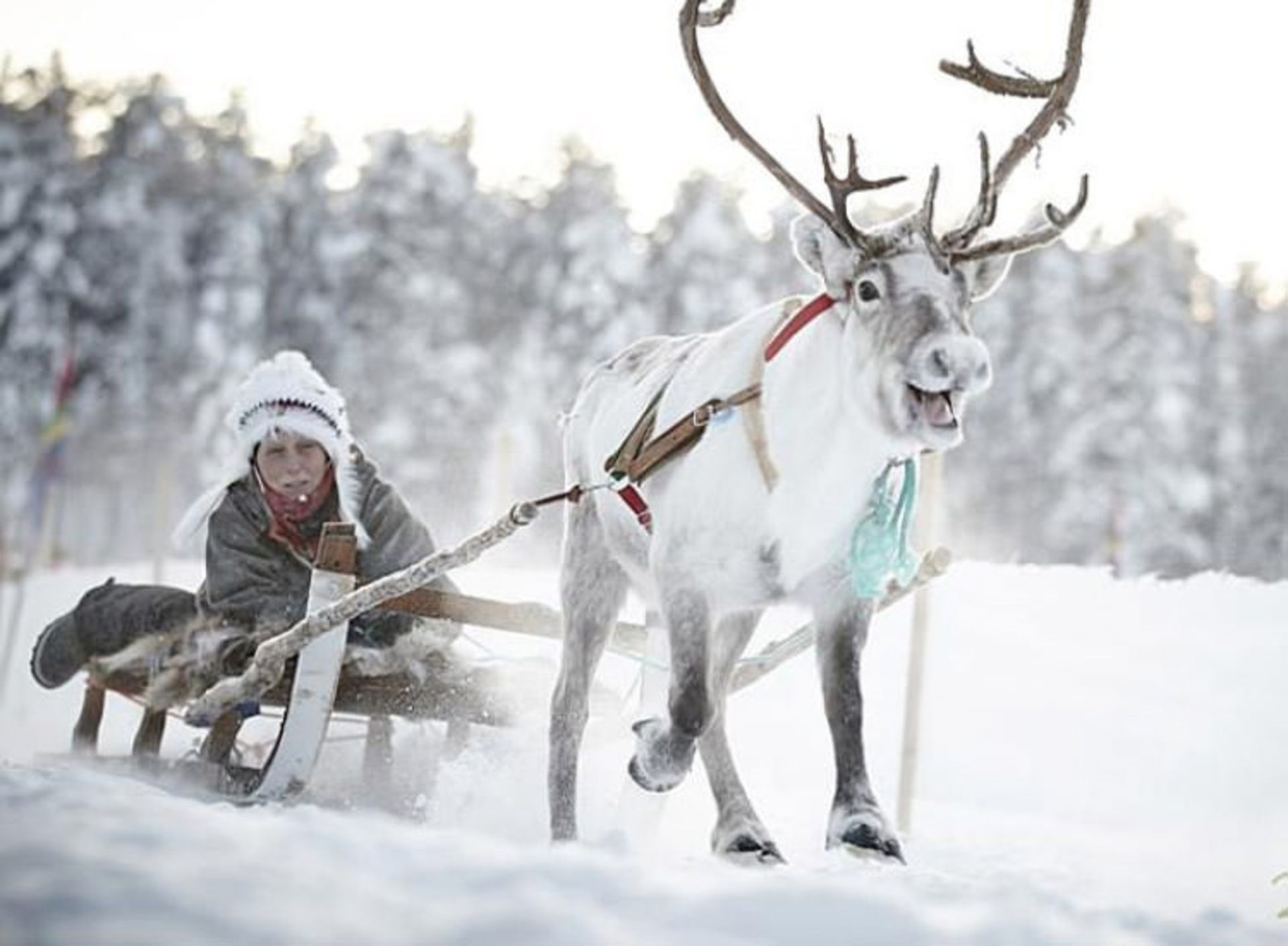 2015-12-jokkmokk-sweden-2