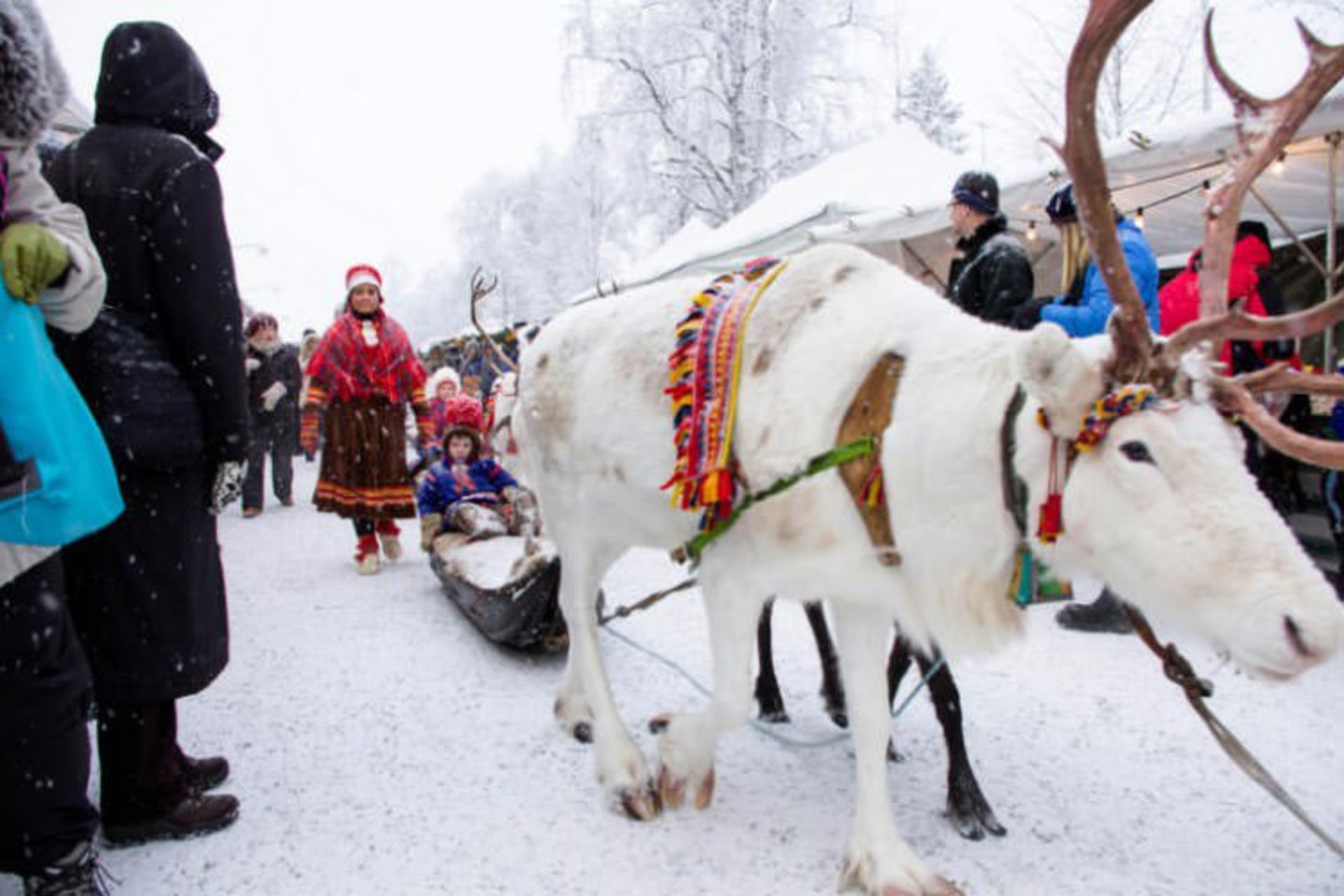 2015-12-jokkmokk-sweden-3