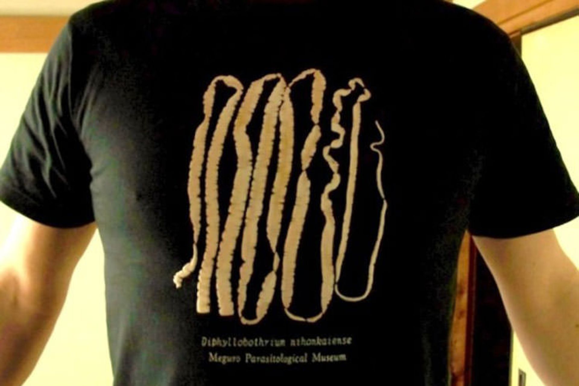 2015-12-parasite-museum-tokyo-3-650x465