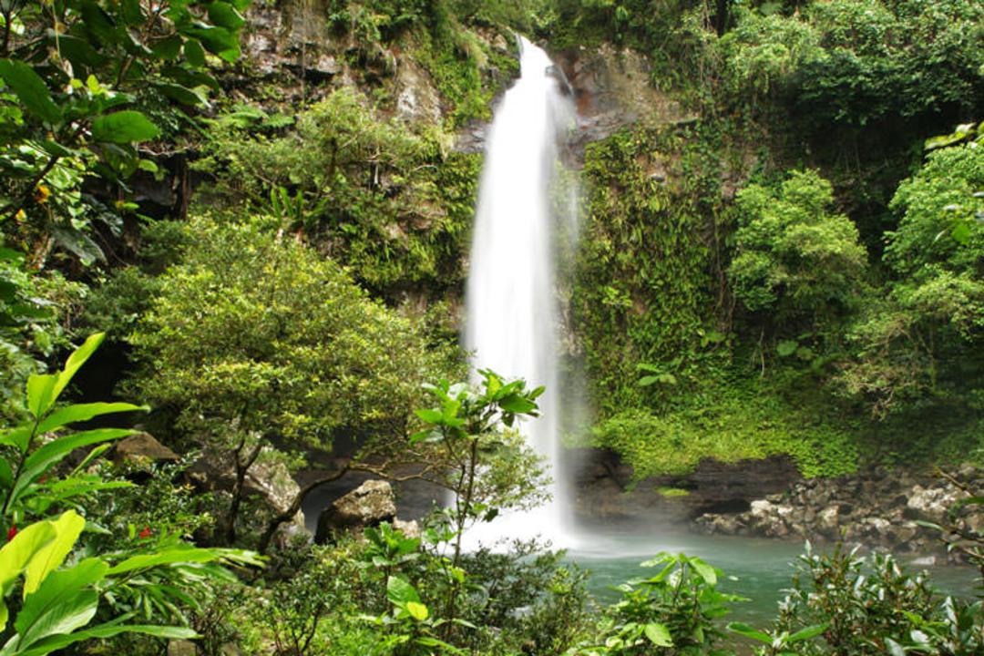 2015-12-taveuni-waterfalls_2381