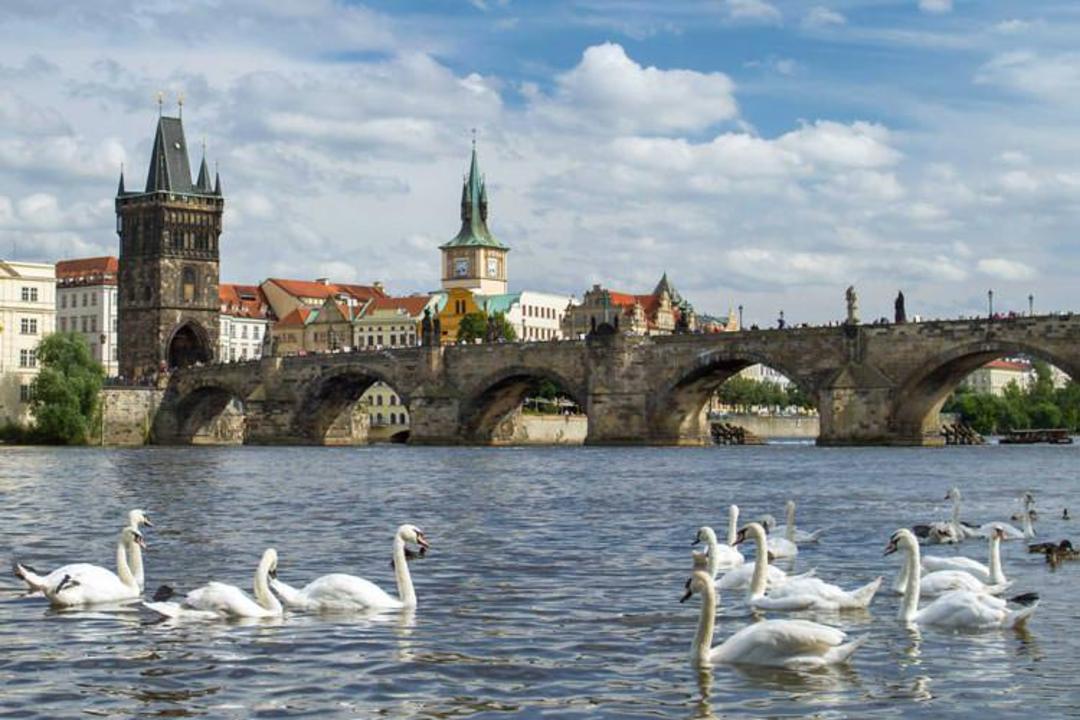 2015-12-the-charles-bridge8-1