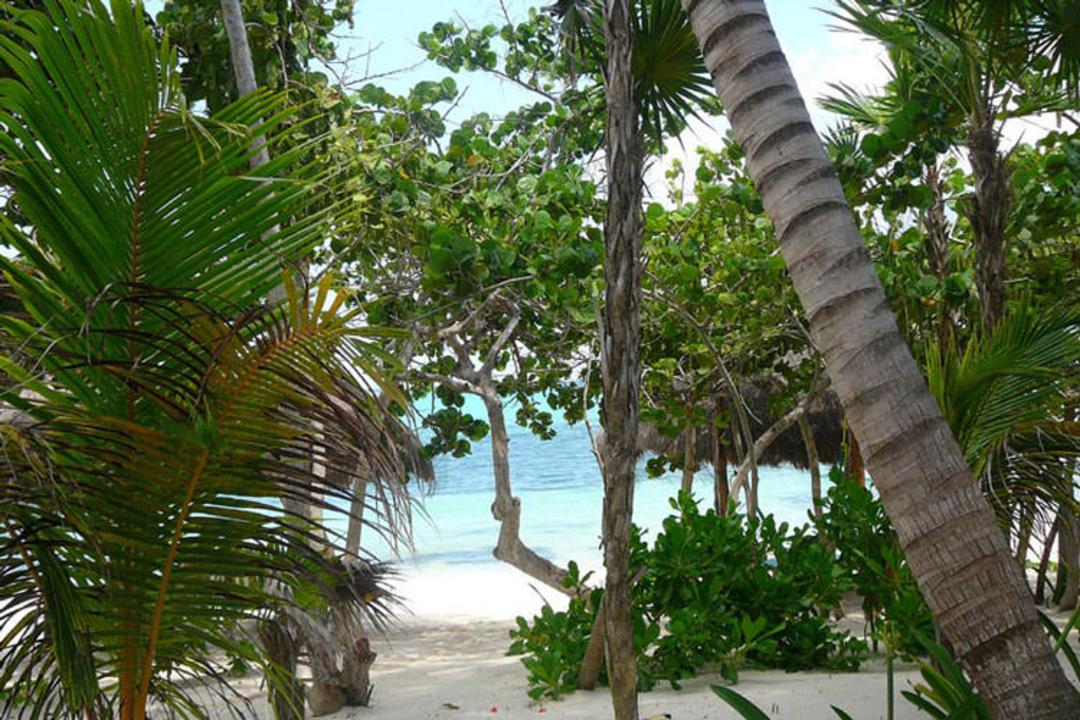 2015-12-tropical-evergreens-soliman-bay-vacation-rentals-exterior-007