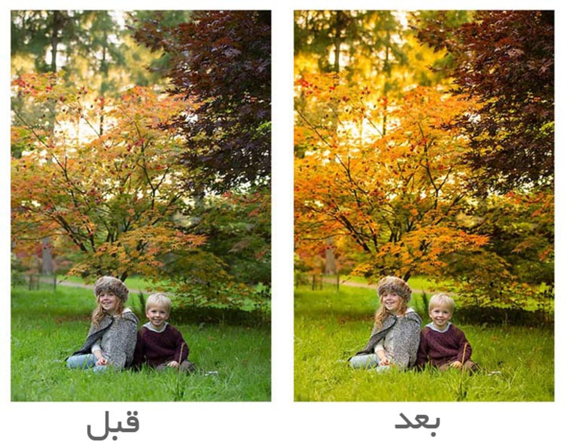 پرتره پاییزی