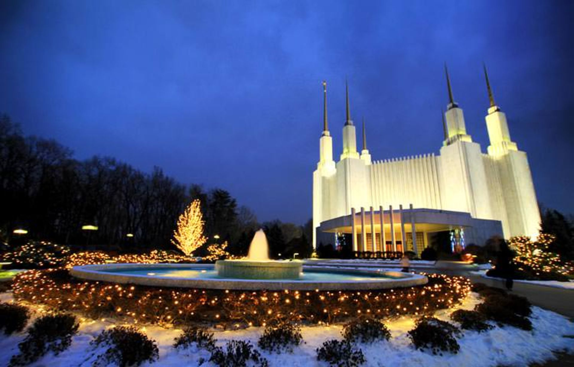 2015-12-washington-dc-usa-21