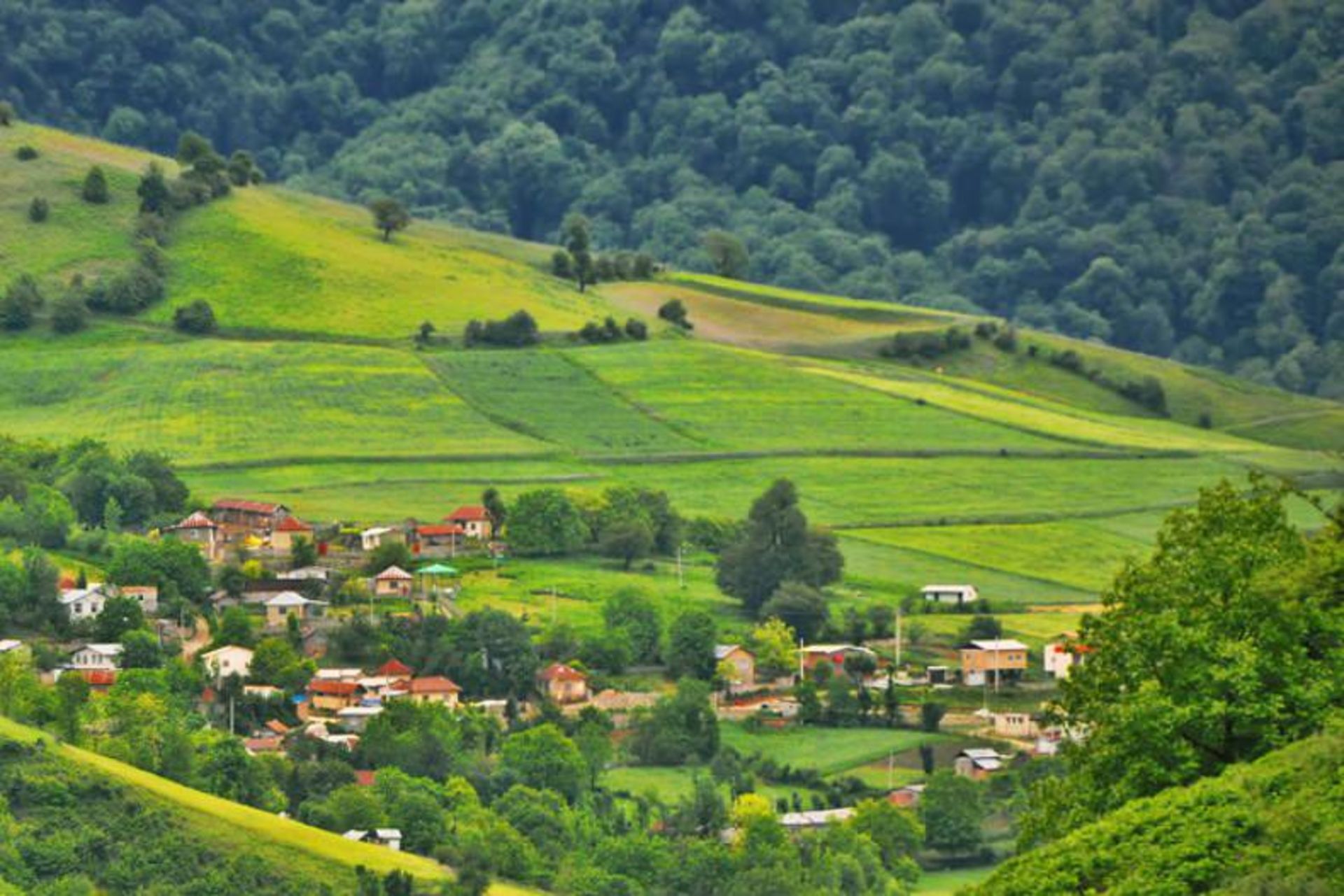 چهاردانگه ساری 