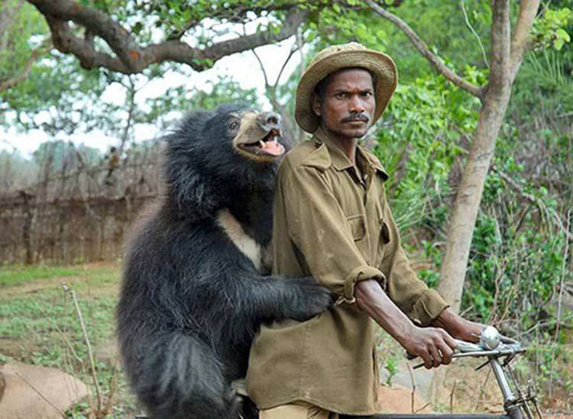 2016-1-09c620a7-3ced-41a8-901c-1969c9824df2-funny-bears-doing-human-things-21
