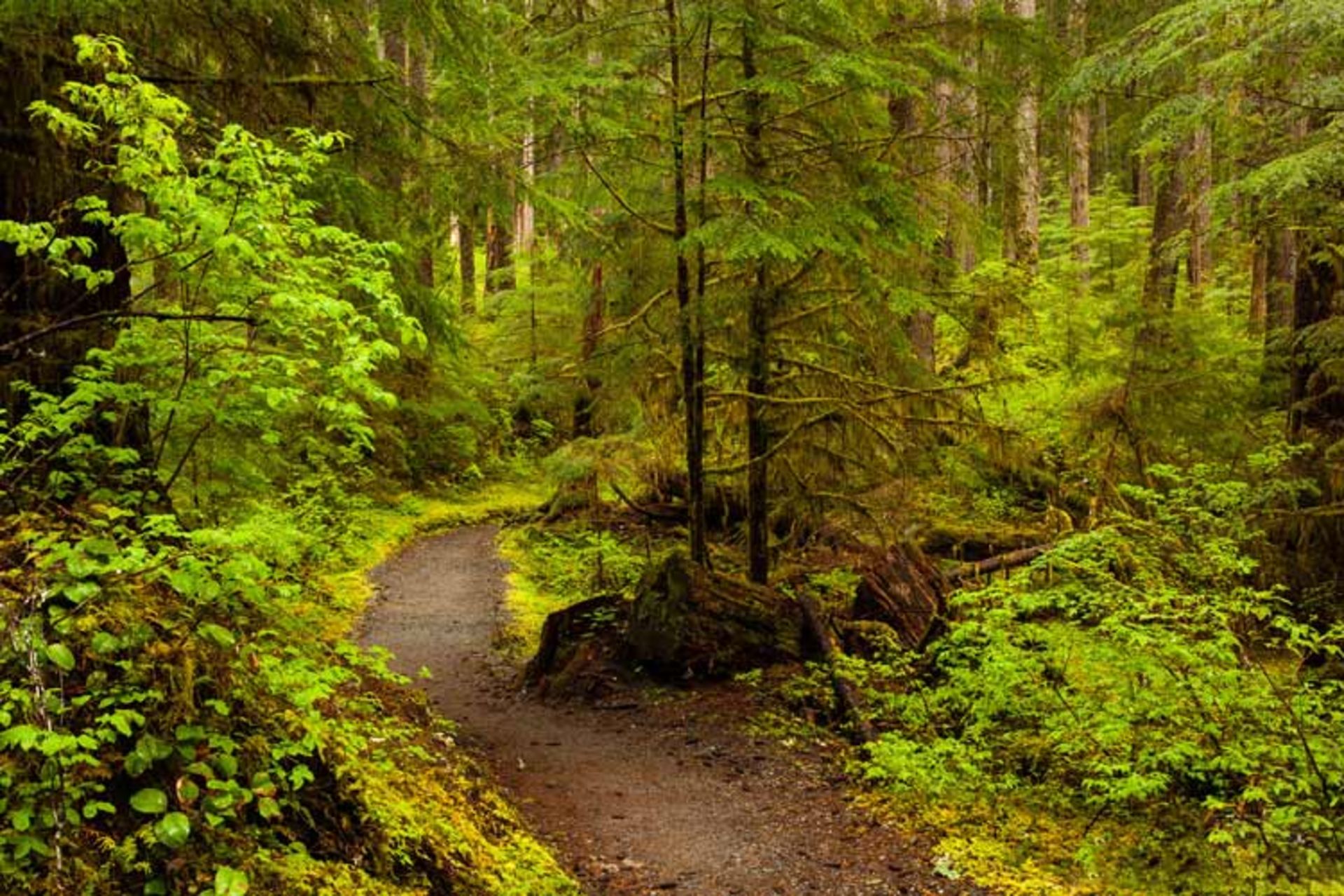 2016-1-0bd93235-14a3-483d-b457-b82151a6f837-olympic--national--park-washington-usa-2