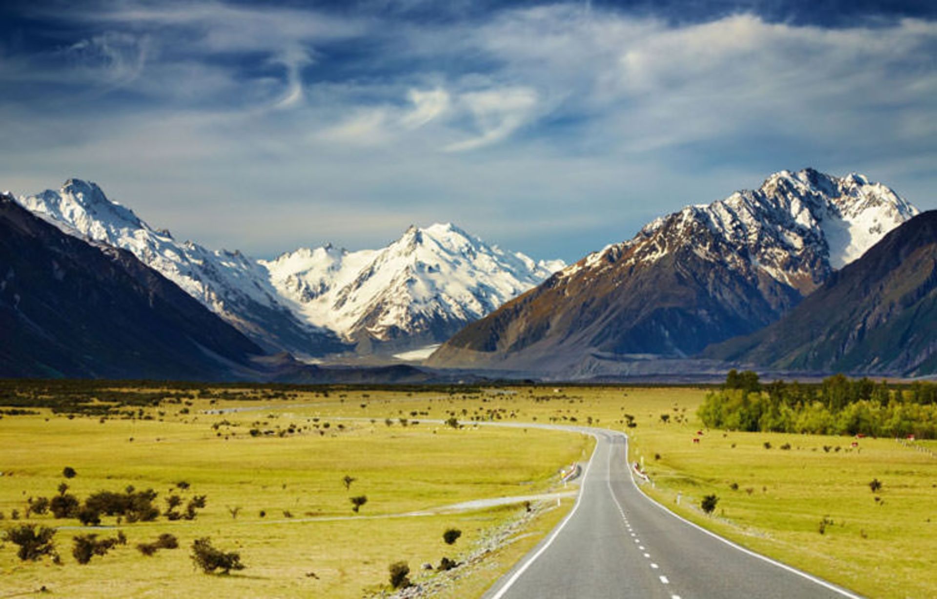 2016-1-18330df3-57ed-4fcb-8ca6-8afe623dc8b7-new-zealand2