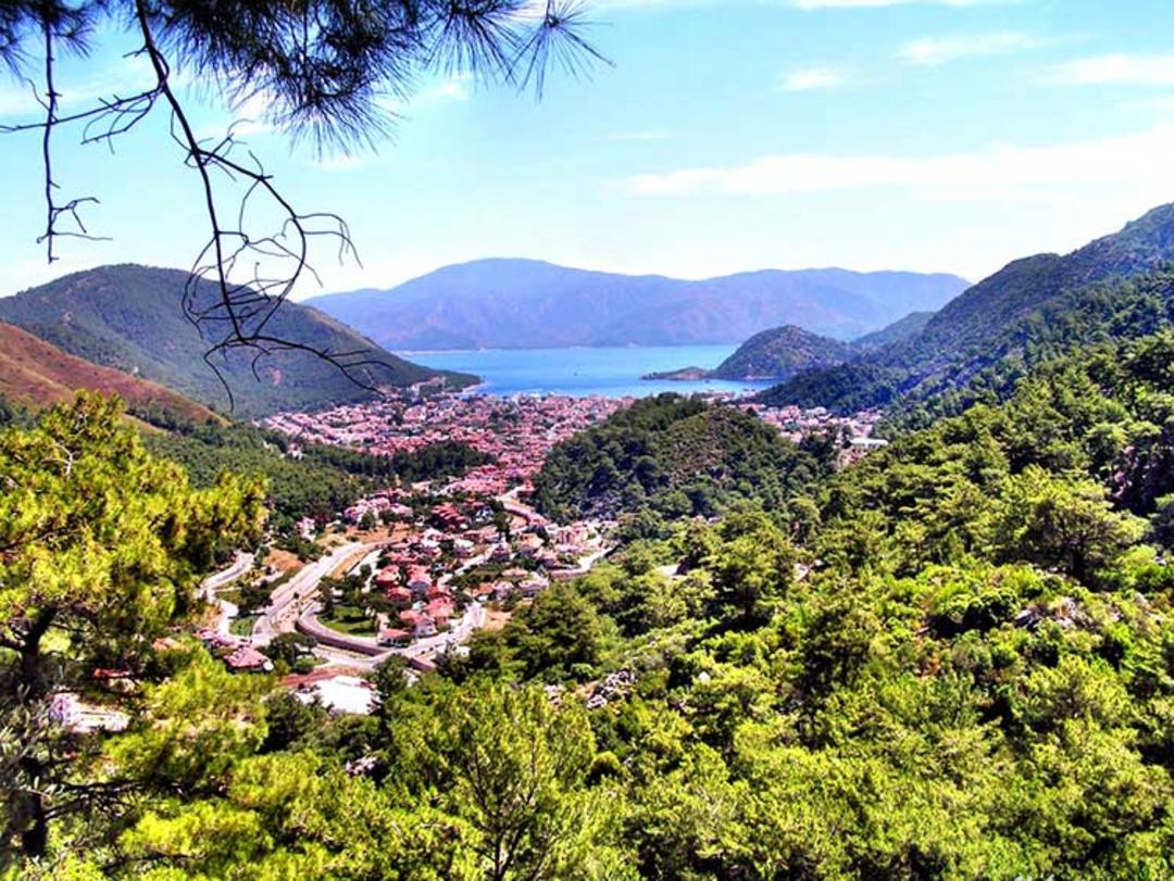 mountain