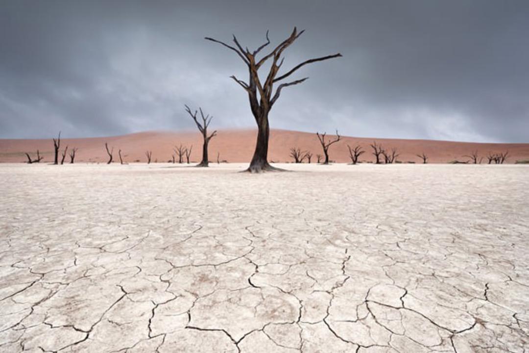 صحرای نامیب در نامیبیا