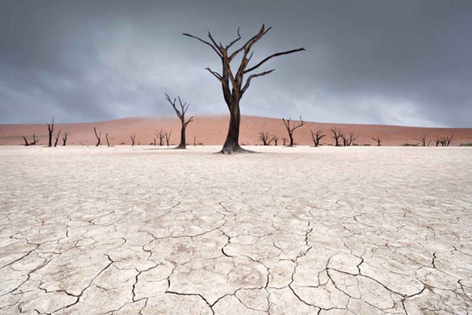 صحرای نامیب در نامیبیا