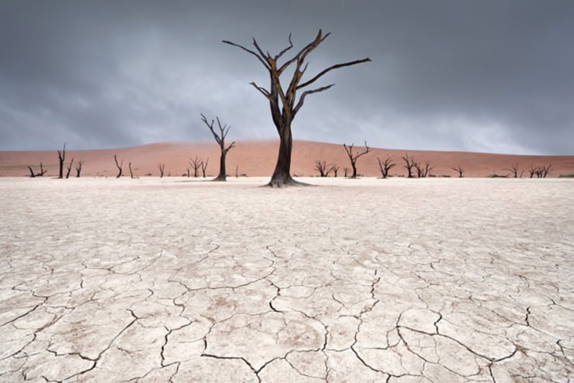 صحرای نامیب در نامیبیا