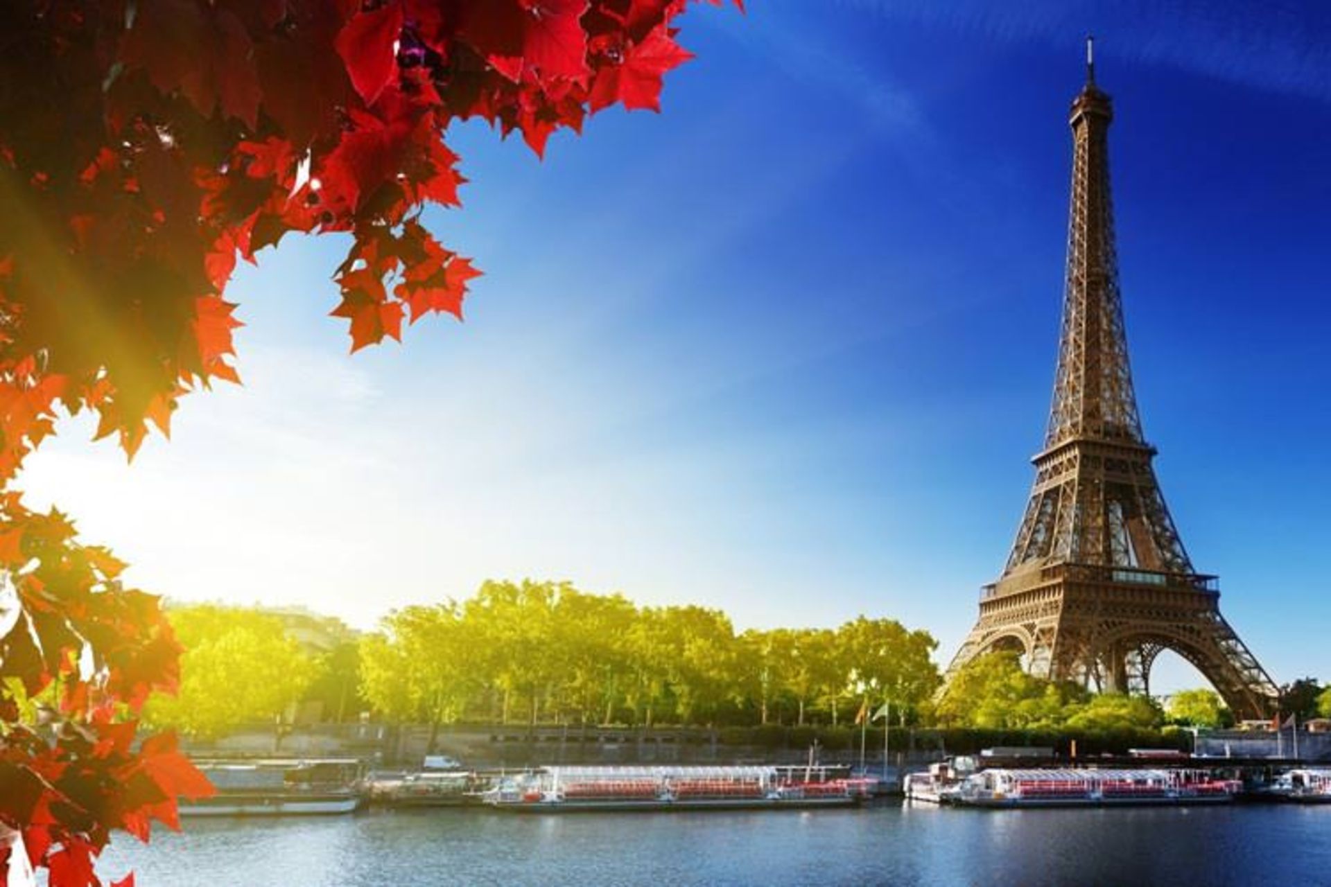 2016-1-3e430c48-b21a-43b3-8cb2-4307022331a9-paris2