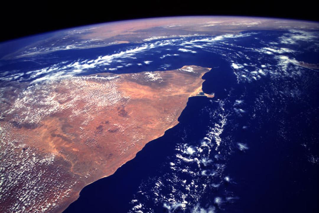 شاخ آفریقا