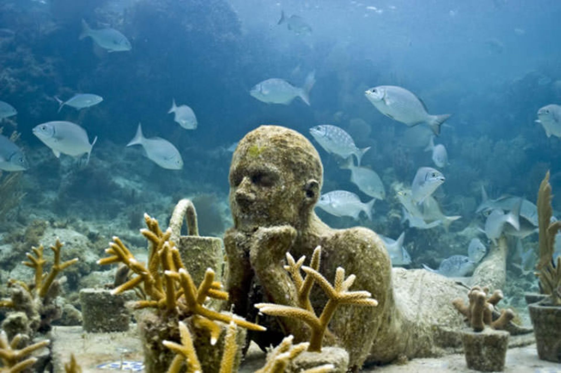 2016-1-47989be1-4000-447a-ba35-ac4d7866d831-cancun--underwater--museum-cancun-6