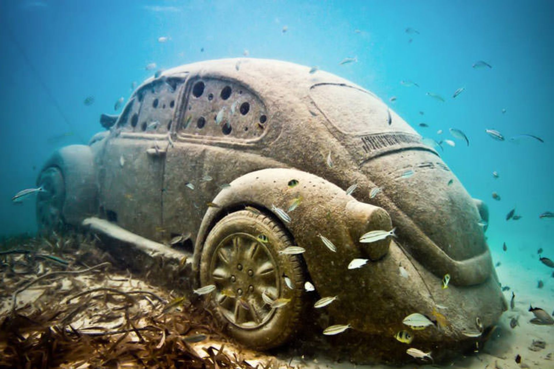 2016-1-648805ce-01cc-45d7-b587-a8db62816a51-cancun--underwater--museum-cancun-4