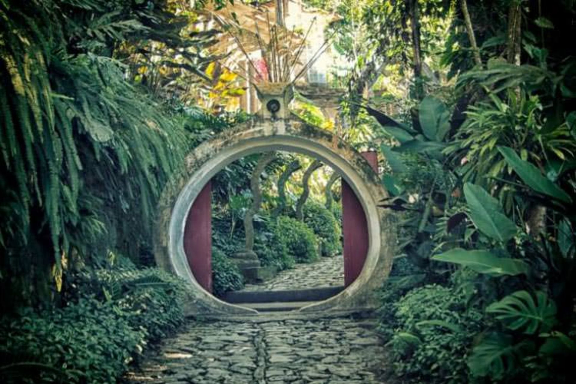 2016-1-69e9d084-4b64-4664-8810-3654c410de51-las--pozas--xilitla-3