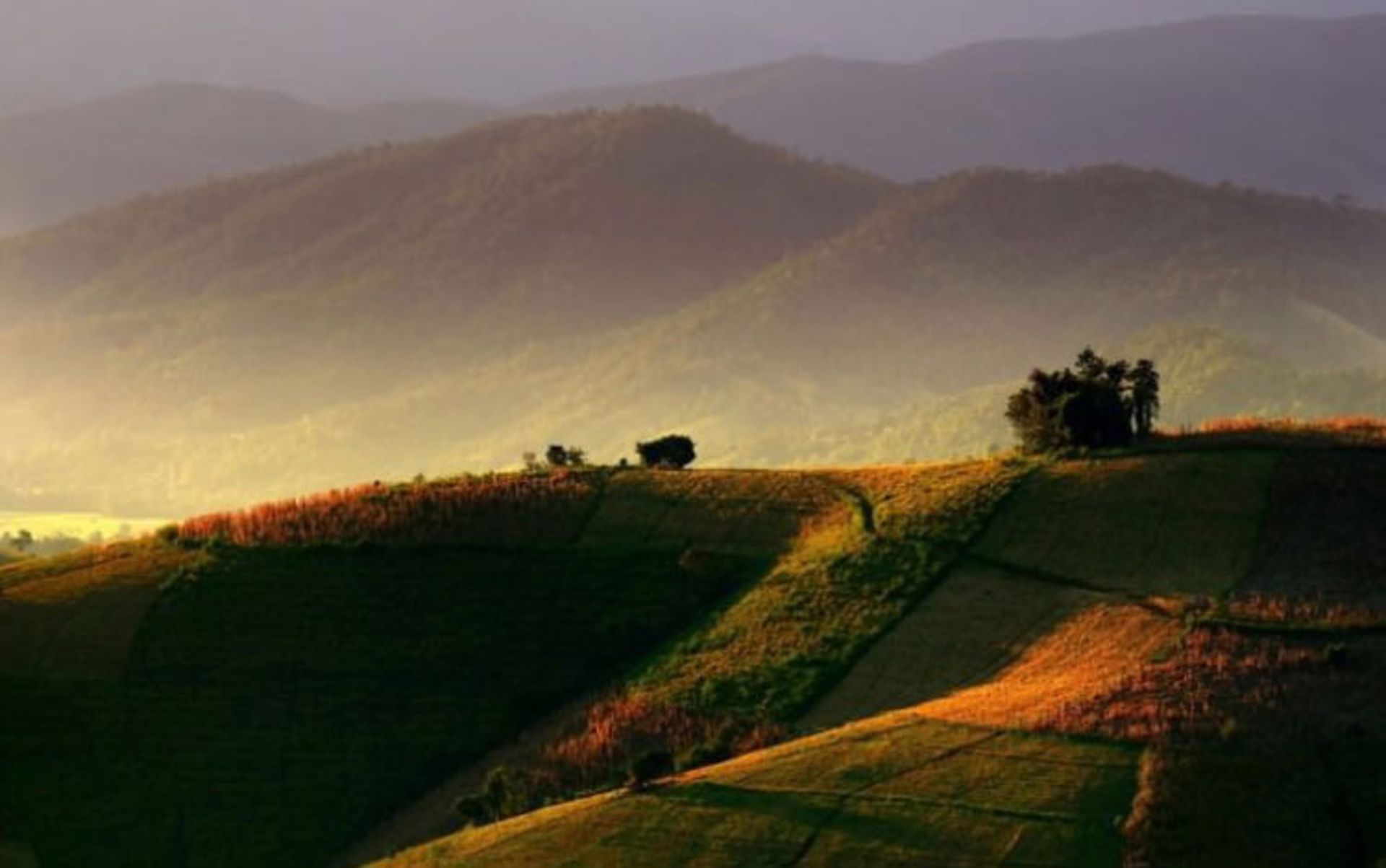 2016-1-74e2f8f2-d9a9-48ce-9b58-1a22236e06ae-doi--inthanon--national--park--chiang--mai--province-thailand-3