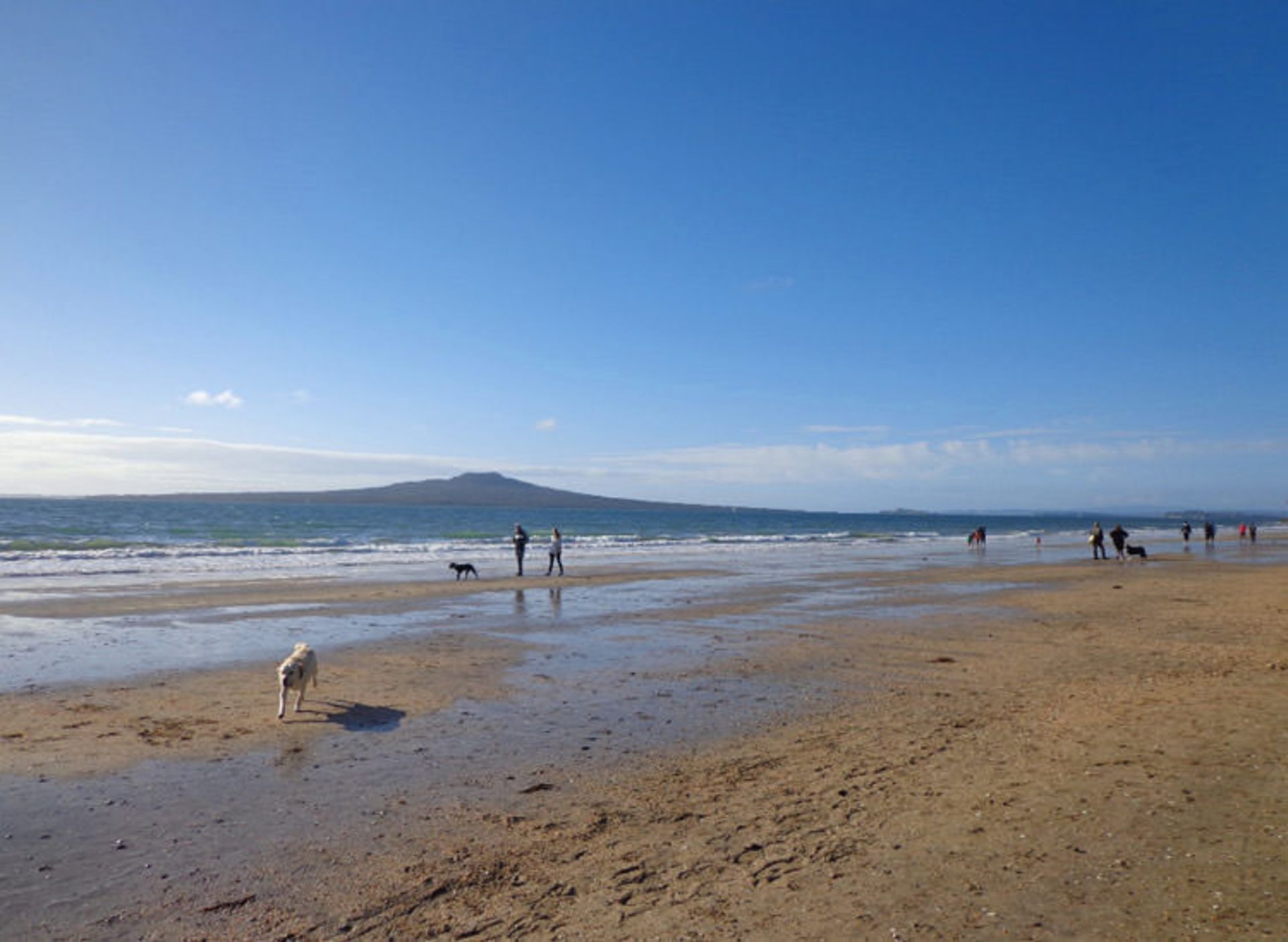 2016-1-808f5108-caae-41ec-b6de-43342a6cf7e8-takapuna--beach-2