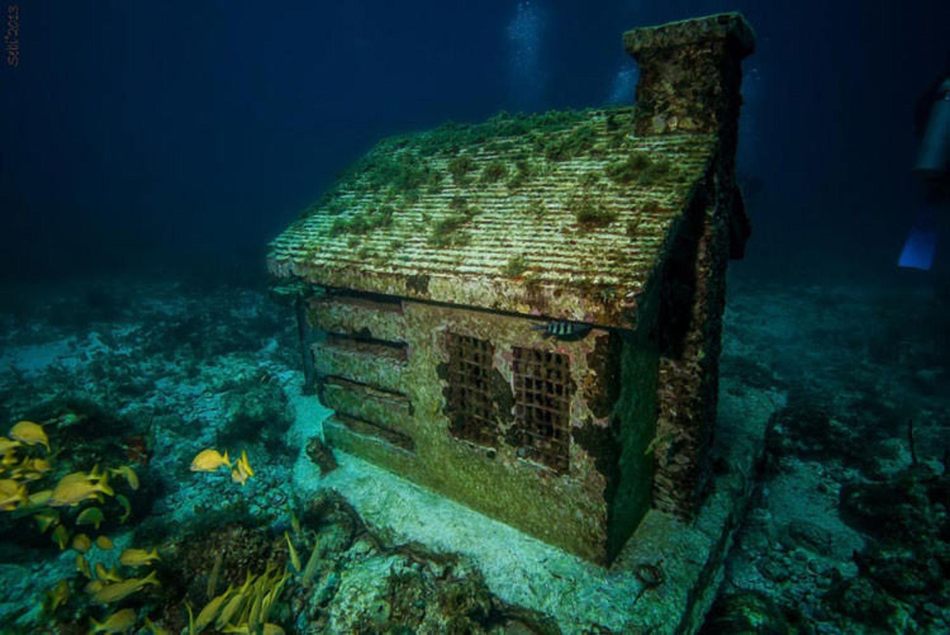 2016-1-8c7aee2e-c4cc-4e38-8b9b-a3d36028ad24-cancun--underwater--museum-cancun-1