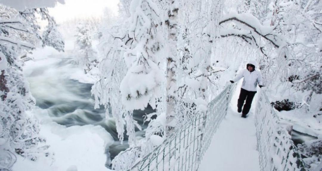 2016-1-96d10c31-06fe-4d47-bf79-bab04547b769-oulanka--national--park-finland-6