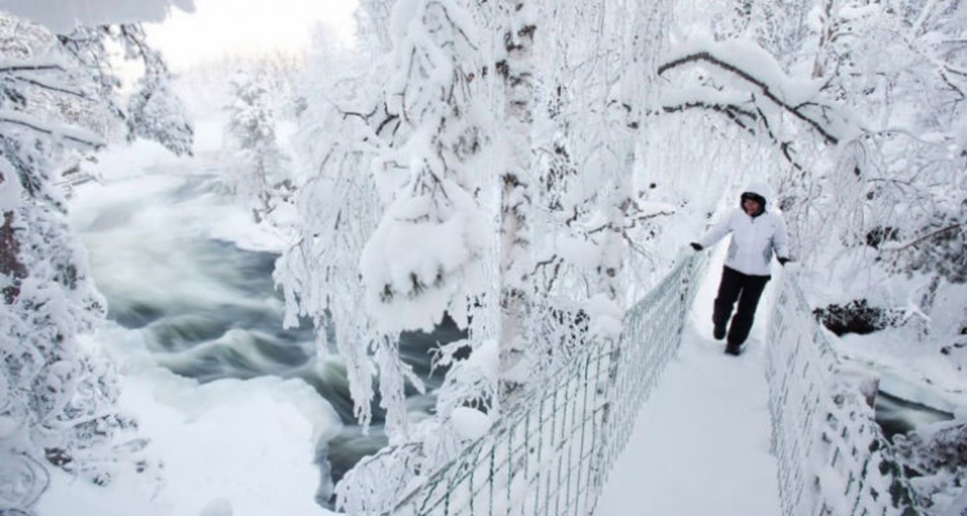 2016-1-96d10c31-06fe-4d47-bf79-bab04547b769-oulanka--national--park-finland-6