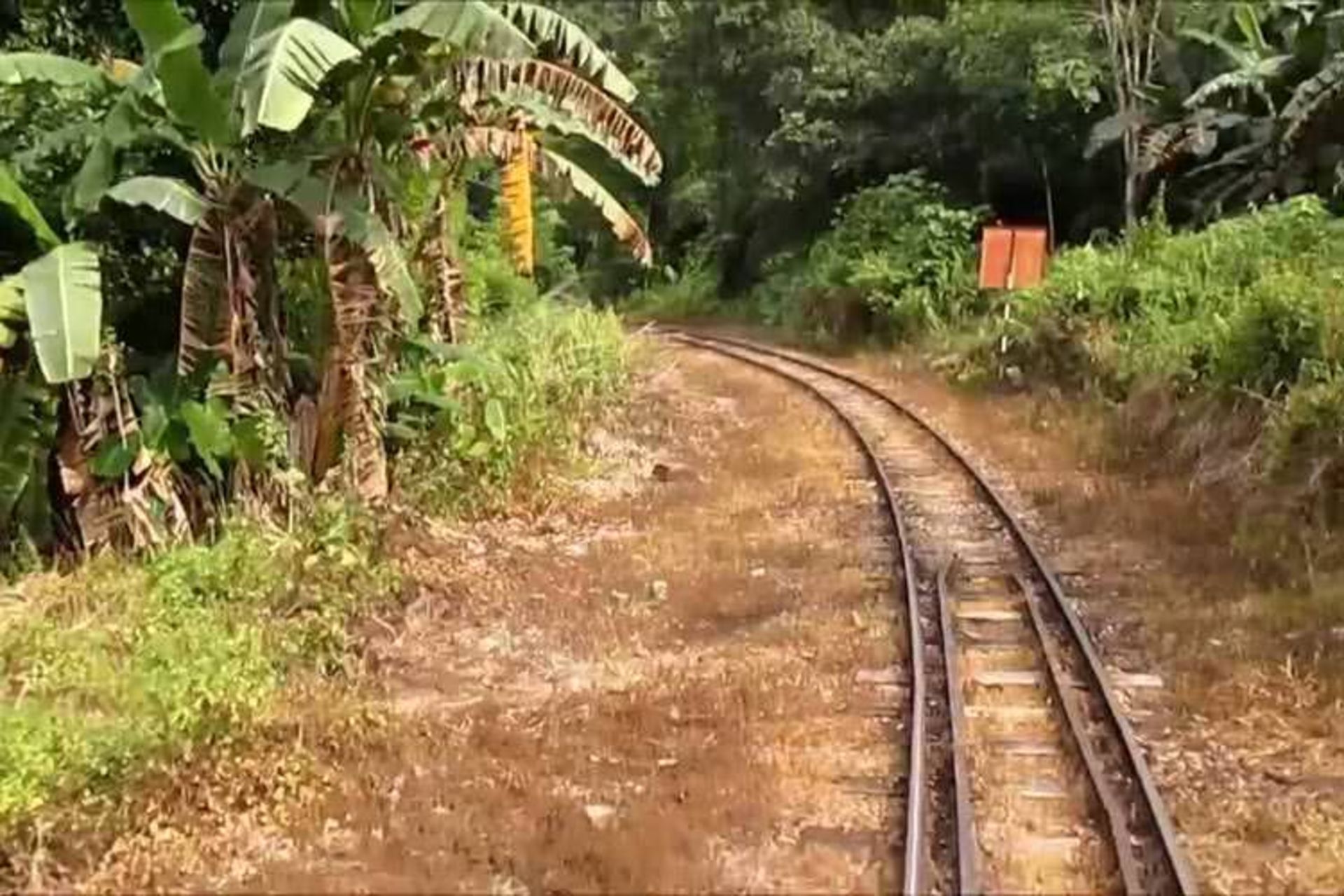 6-Jungle-Railway-Malaysia
